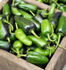 Piment negro de la sierra