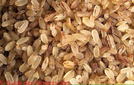 Riz Ofada