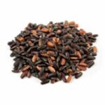Riz noir Japonica