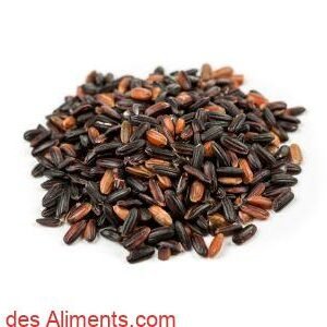 Riz noir Japonica