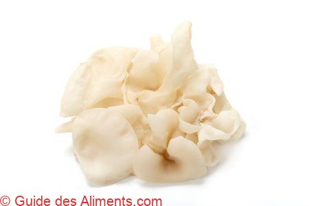 Shiro Kikurage - Oreille-de-judas blanc