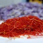 Zafferano di Sardegna