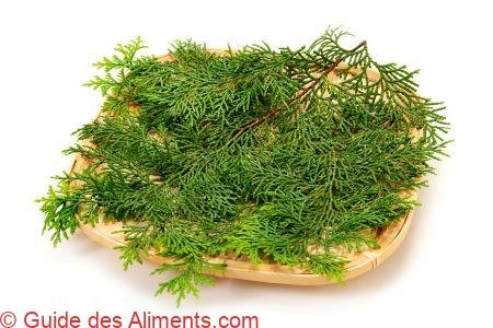 feuilles de cyprès du Japon pour la cuisine