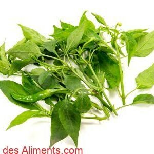 feuilles de piment