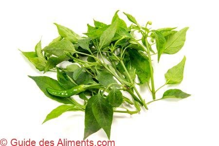feuilles de piment