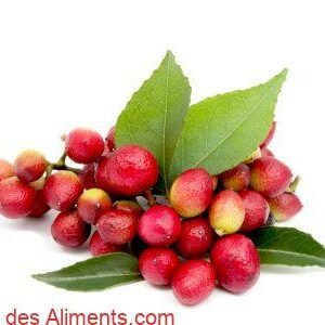 fruits de l'arbre à curry