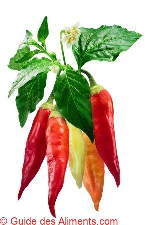 piment aji cristal