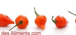 piment Biquinho Vermelha
