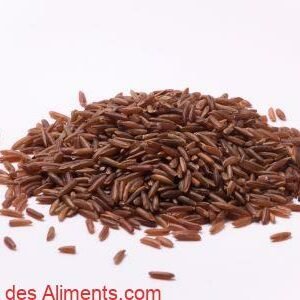 riz Ermes