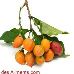 Bunchosia argentea