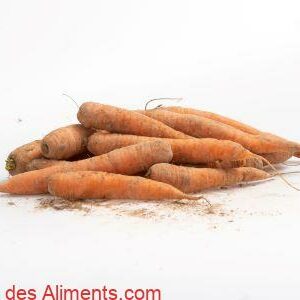 Carottes des sables