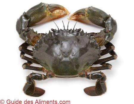 Crabe des palétuviers