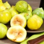 Fico bianco del Cilento