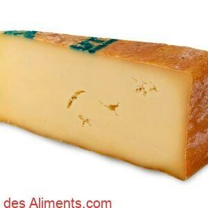 Fontina