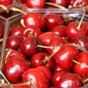 cerise - Ciliegia di Vignola