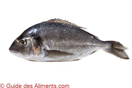 dorade grise