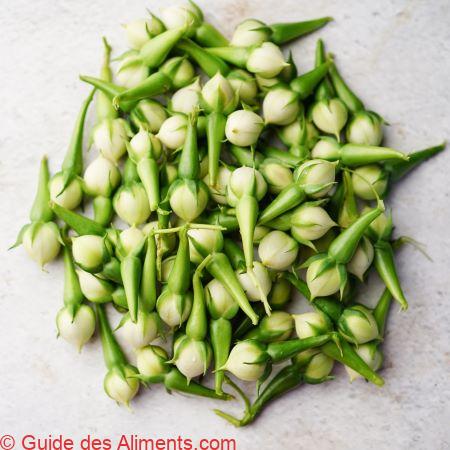 gousse de girofle ou nithya vazhutana