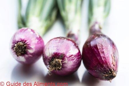Cipolla rossa di Tropea Calabria