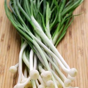 rocambole sauvage