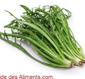 Plantain corne-de-cerf