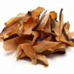 Katsuobushi (bonite séchée)