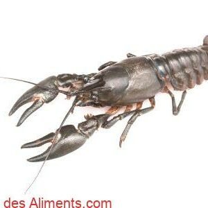 Pacifastacus leniusculus