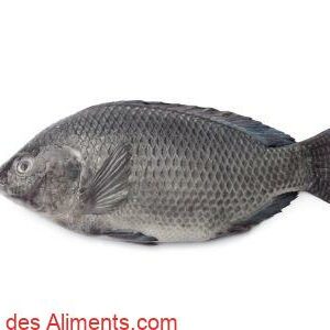 Tilapia