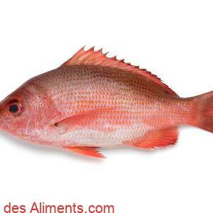 Vivaneau camp&egrave;che, Vivaneau rouge