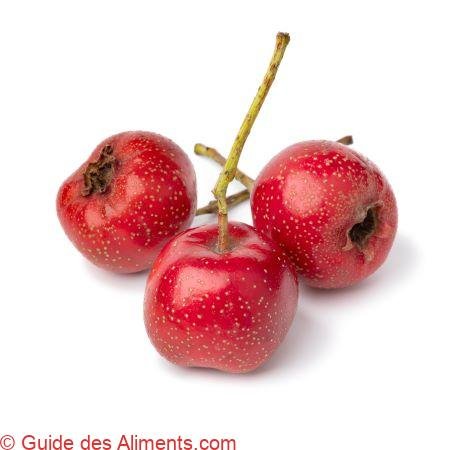 aubépine rouge