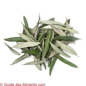 feuilles d'olivier séchées