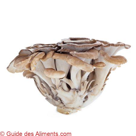 maitake ou Poule des bois