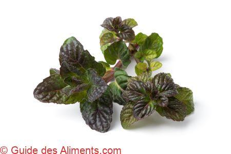 menthe cassis