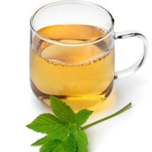 th&eacute; d'&eacute;gopode podagraire