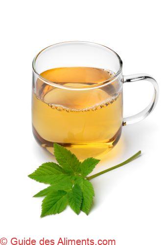 thé d'égopode podagraire