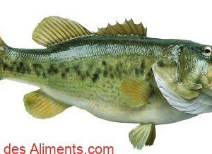 Achigan à grande bouche