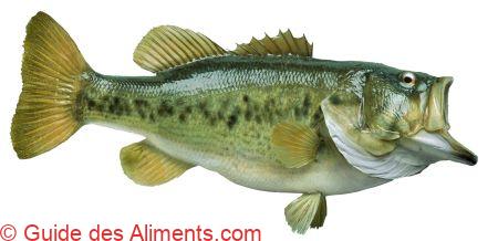 Achigan à grande bouche