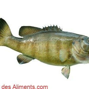 Achigan &agrave; petite bouche