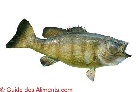 Achigan à petite bouche