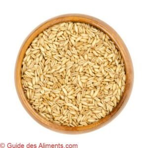 Avena nuda