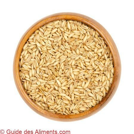 Avena nuda