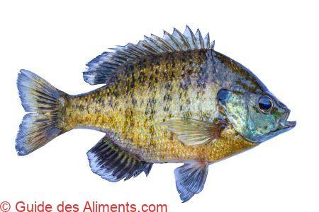 Crapet arlequin