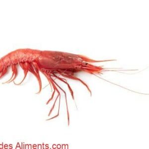 Crevette rouge de Mazara del Vallo