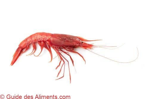 Crevette rouge de Mazara del Vallo