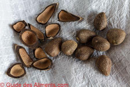 Murumuru (Astrocaryum murumuru Mart)