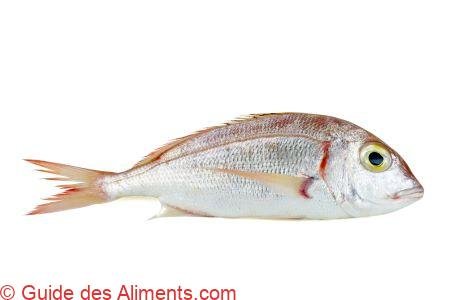 Pagellus erythrinus