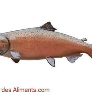 Saumon royal