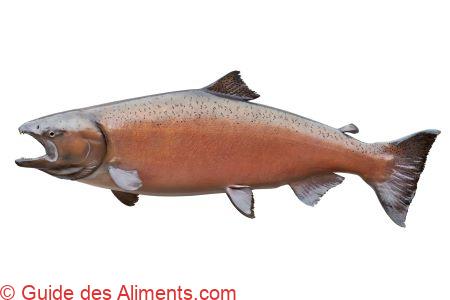 Saumon royal