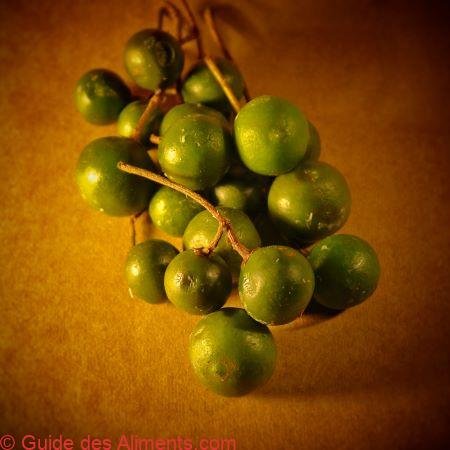 Sorva - Couma utilis