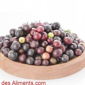 Vaccinium meridionale, agraz ou myrtille andine