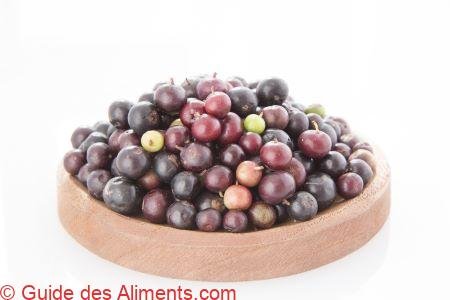 Vaccinium meridionale, agraz ou myrtille andine